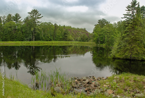 summer pond reflection landscape