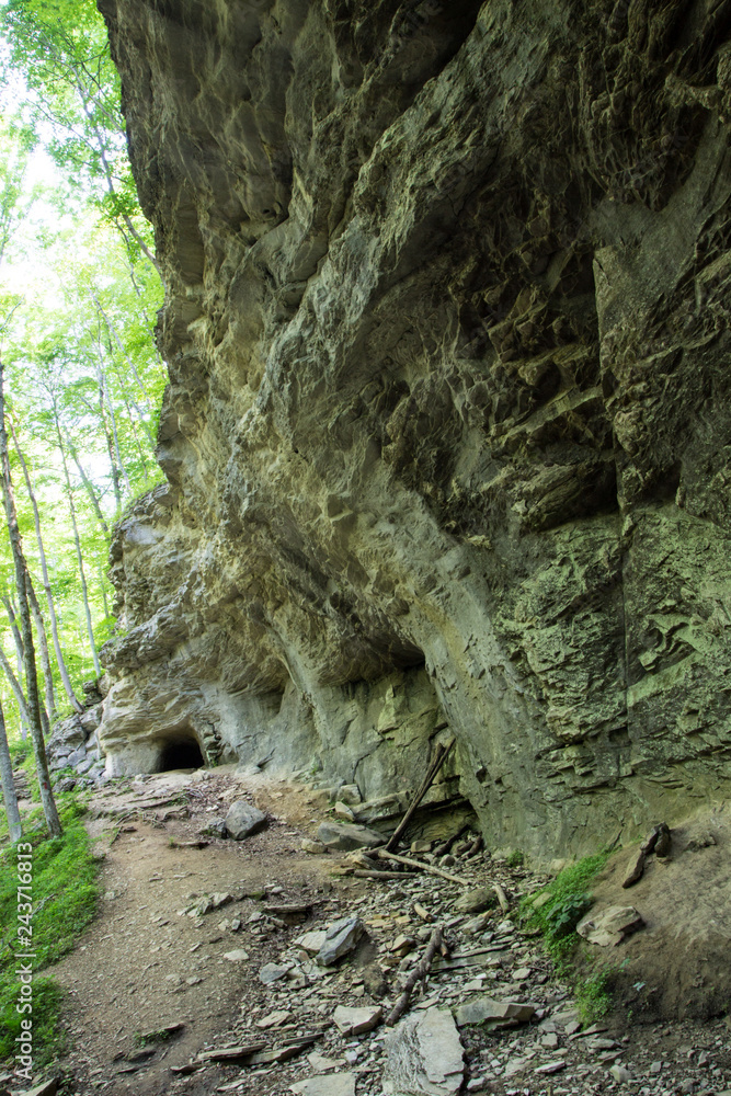 Vertical Kentucky Forest Landscape. Lush green forest landscape in the rocky and hilly terrain on a hiking trail in Carter Caves State Park in eastern Kentucky. Vertical Kentucky Forest Landscape. Lush green forest landscape in the rocky and hilly terrain on a hiking trail in Carter Caves State Park in eastern Kentucky.