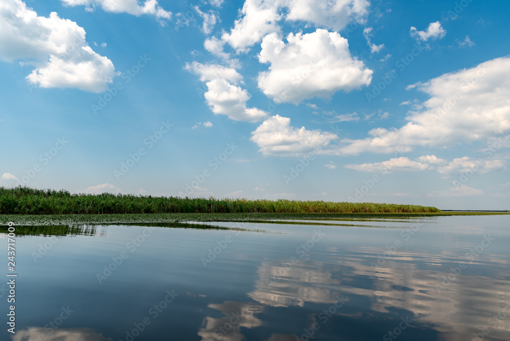 Danube Delta Vegetation and wildlife