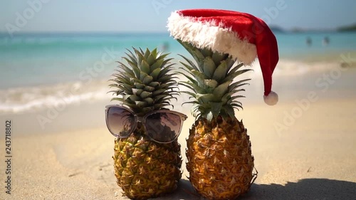 two friends of pineapple in glasses and Christmas hat on the white sand overlooking the sea