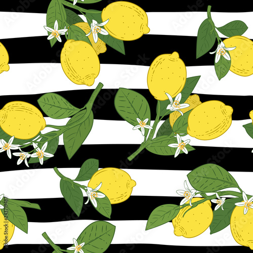 Seamless of branches with lemons, green leaves and flowers on black and white liniar pattern. Citrus fruits background. Vector illustration