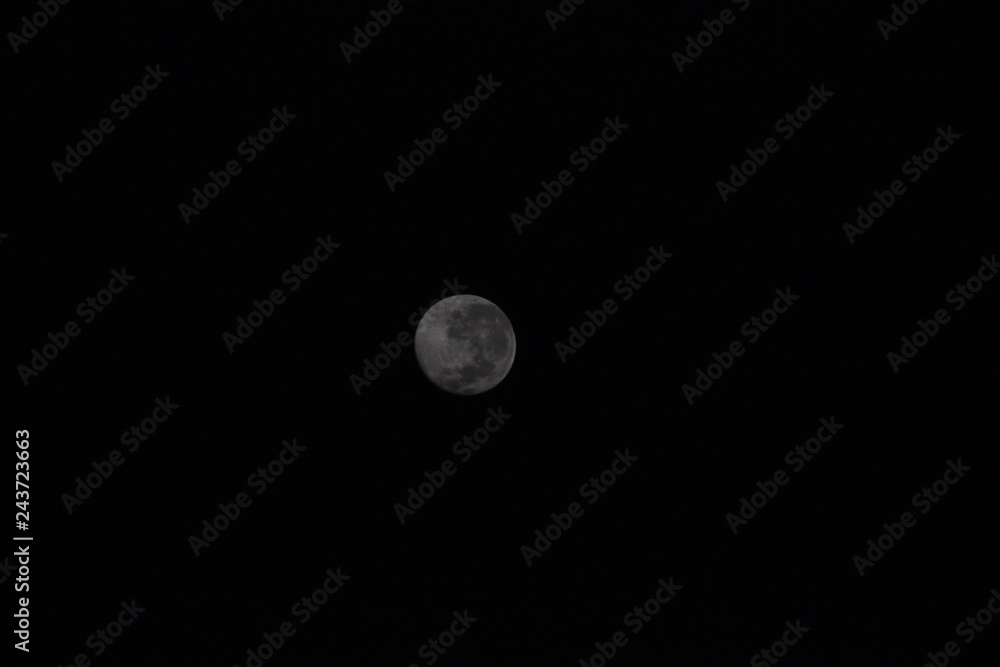 Lune Lune