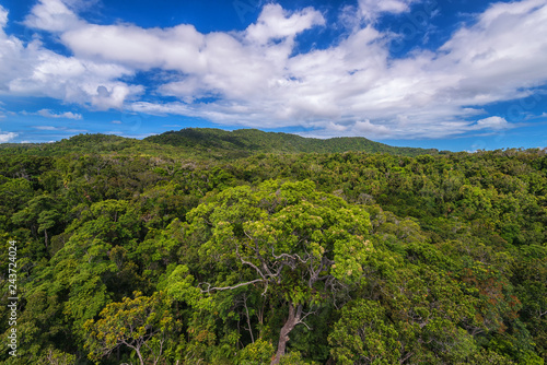 Rainforestation nature park, Queensland, Kairns, Australia