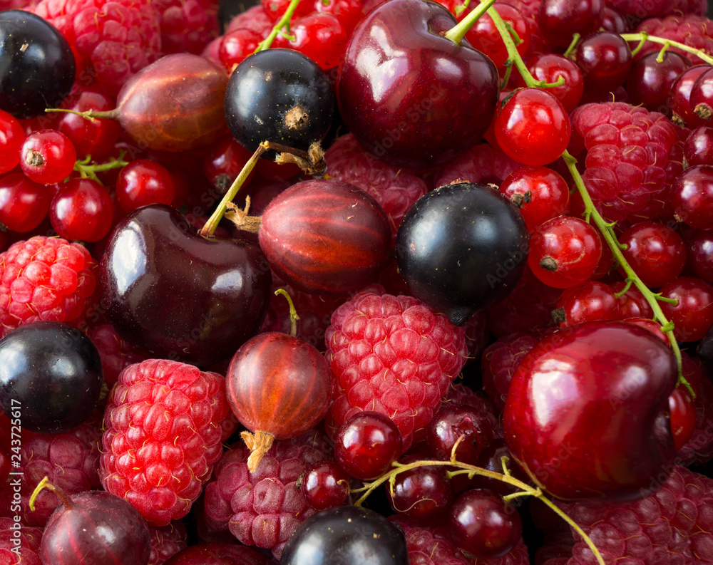 Ripe raspberries, blackcurrants, cherries, red currants and gooseberries. Mix berries and fruits. Top view. Background berries and fruits. Various fresh summer fruits. Ripe raspberries, blackcurrants, cherries, red currants and gooseberries. Mix berries and fruits. Top view. Background berries and fruits. Various fresh summer fruits.
