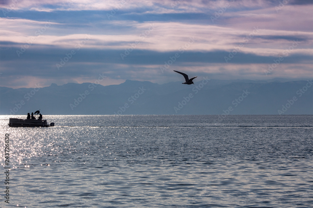Landscape in silver-pink-blue on the beautiful Ohrid Lake  with silhouettes of а boat and flying seagull. Macedonia.