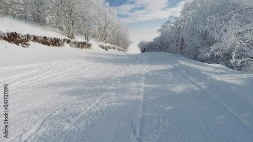 Skiing at snowed forest area action camera POV perspective. Skier using shallow turns to change direction at Vigla - Pisoderi, Greece ski resort area at a path with trees and branches covered in snow. photo