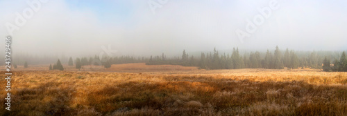foggy landscape in the morning _Izerskie mountains