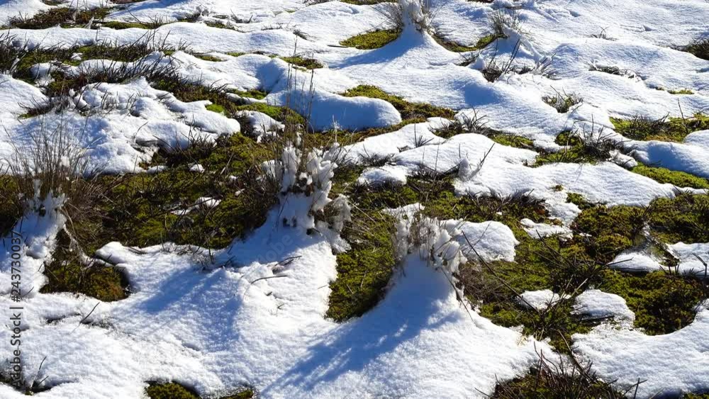 Snow on a meadow, shooting in the winter. Shooting in January. Snow on a meadow, shooting in the winter. Shooting in January.