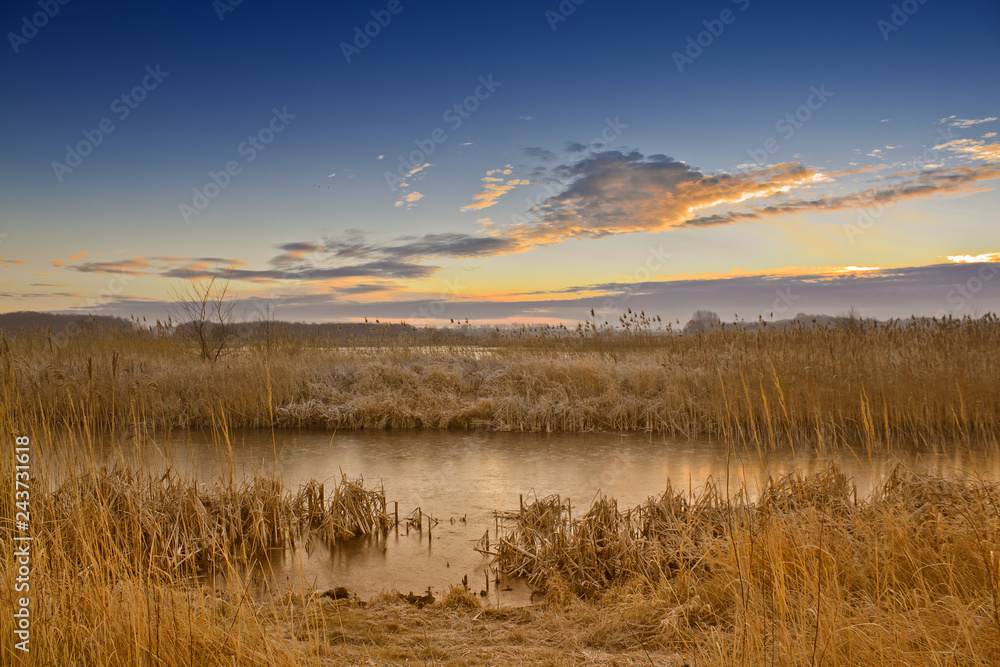 Fototapeta premium Lake at frosty morning
