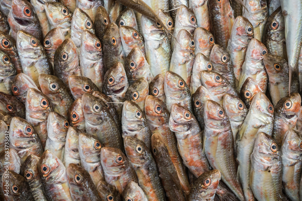 Dislay of a fishmonger. Dislay of a fishmonger.