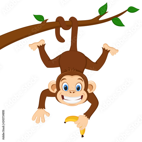 Monkey is hanging on a branch and holding a banana on a white.