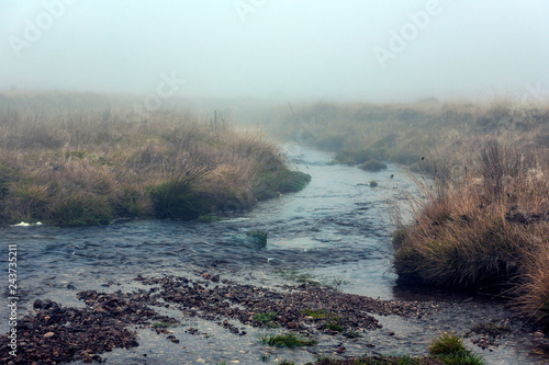 Izera river in foggy landscape in the morning _Izerskie mountains