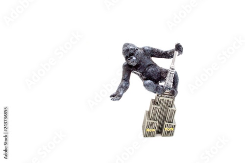 King Kong Rise of The King