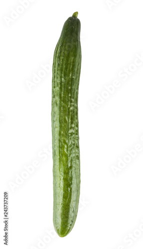 Green fresh cucumber on a white background
