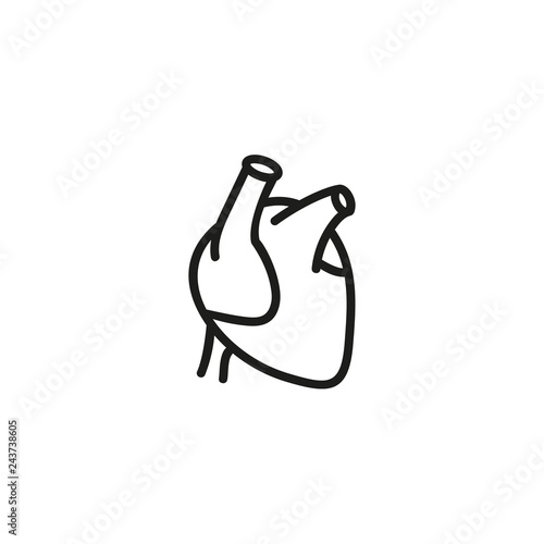 Realistic heart line icon. Cardiology, organ, anatomy. Surgery concept. Can be used for topics like human body, medicine, healthcare