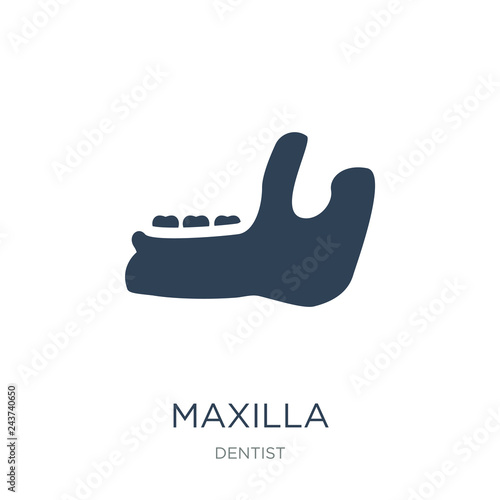 maxilla icon vector on white background, maxilla trendy filled i