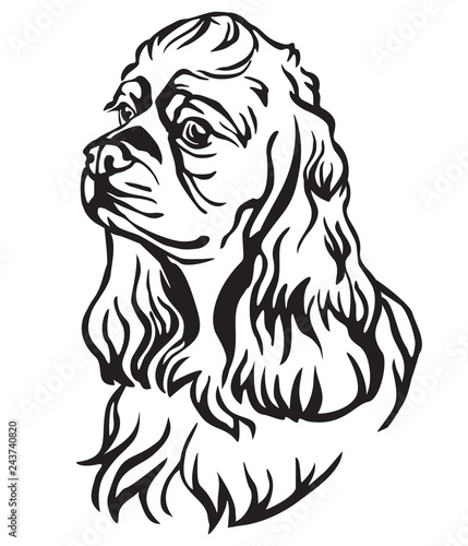 фотографія Decorative portrait of Dog American Cocker Spaniel vector illustration