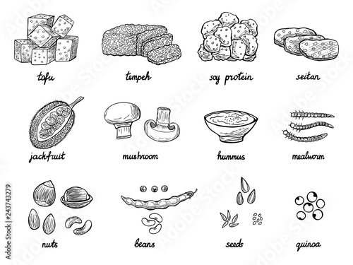 Set of hand drawn meat alternative or analogue for vegans, vegetarians, healthy eating. Food icons of soy protein, beans, tempeh etc. Black and white doodle vector illustration