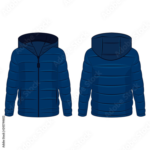 Blue winter down zipped jacket with hood isolated vector on the white background