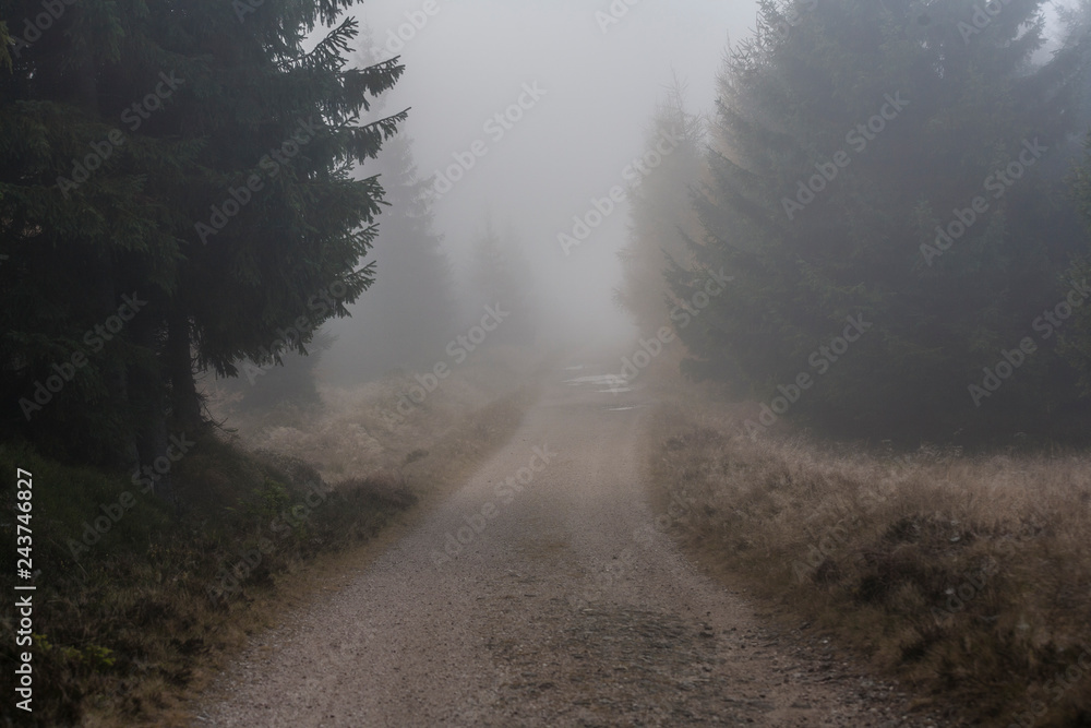 foggy landscape in the morning _Izerskie mountains foggy landscape in the morning _Izerskie mountains