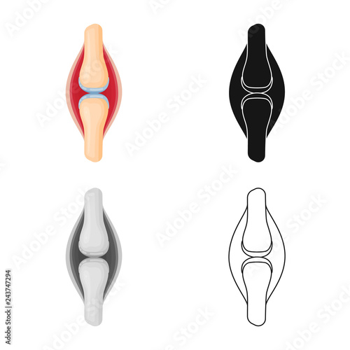 Vector design of biology and scientific sign. Collection of biology and laboratory vector icon for stock.
