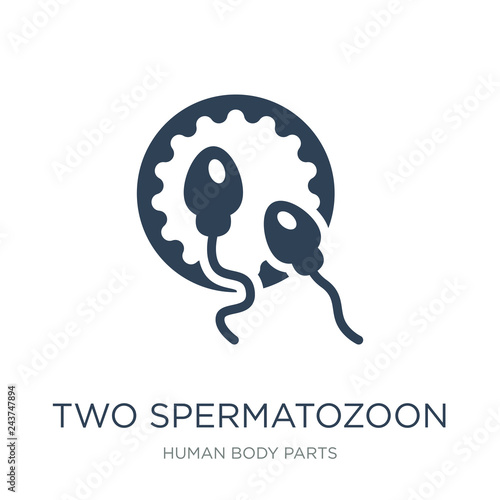 two spermatozoon icon vector on white background, two spermatozo photo