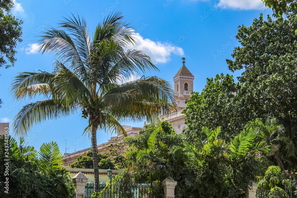 Church and palm in Havanna, Cuba