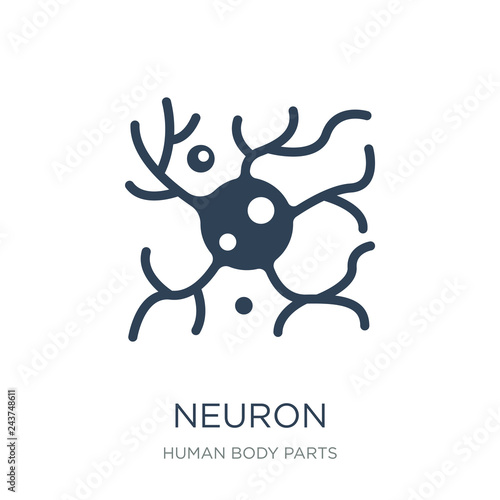 neuron icon vector on white background, neuron trendy filled ico