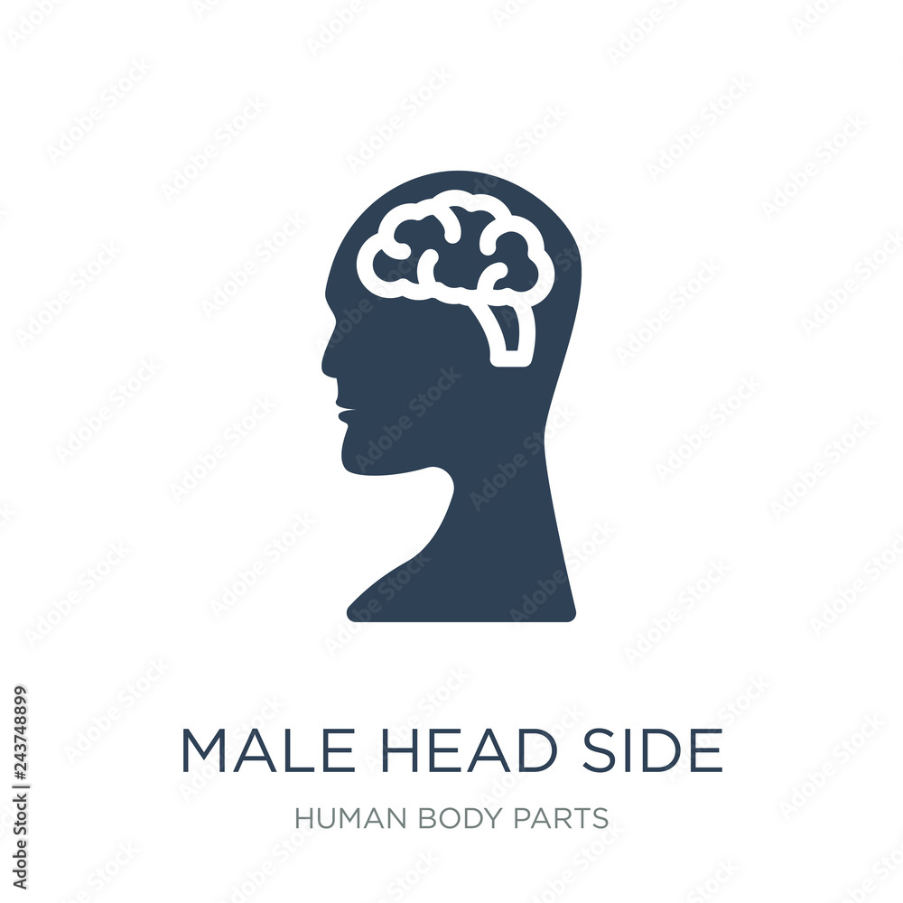 male head side view with brains icon vector on white background,