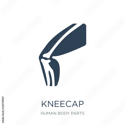kneecap icon vector on white background, kneecap trendy filled i