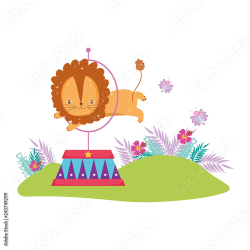 cute lion circus jumping fire ring