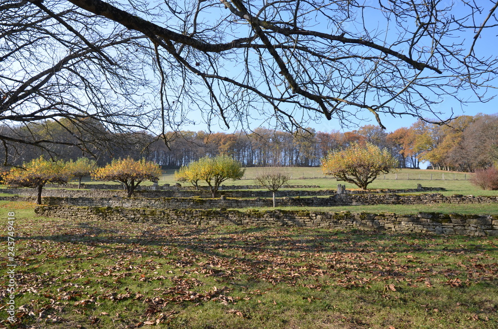 PAYSAGE AUTOMNAL BOURGOGNE FRANCE