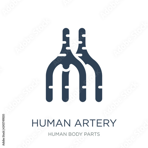 human artery icon vector on white background, human artery trend