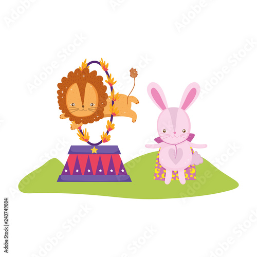 cute lion circus jumping fire ring