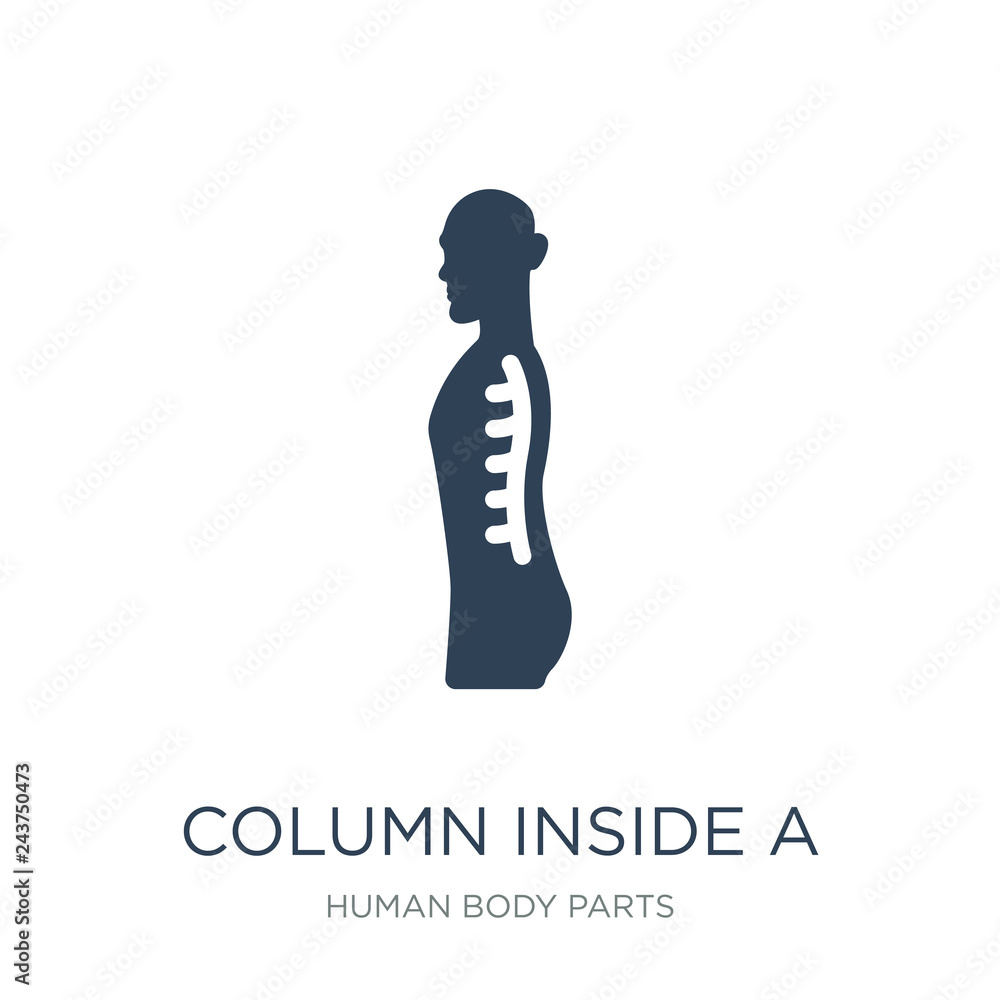 column inside a male human body in side view icon vector on whit