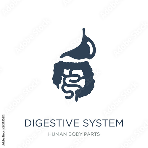 digestive system icon vector on white background, digestive syst