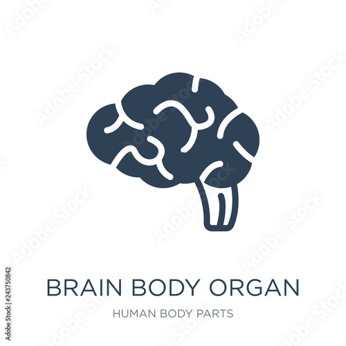 brain body organ icon vector on white background, brain body org