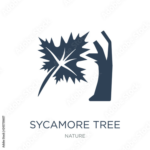 sycamore tree icon vector on white background, sycamore tree tre