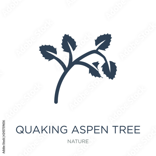 quaking aspen tree icon vector on white background, quaking aspe