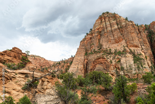 View from the Canyon Overlook Trail in Zion National Park, Utah