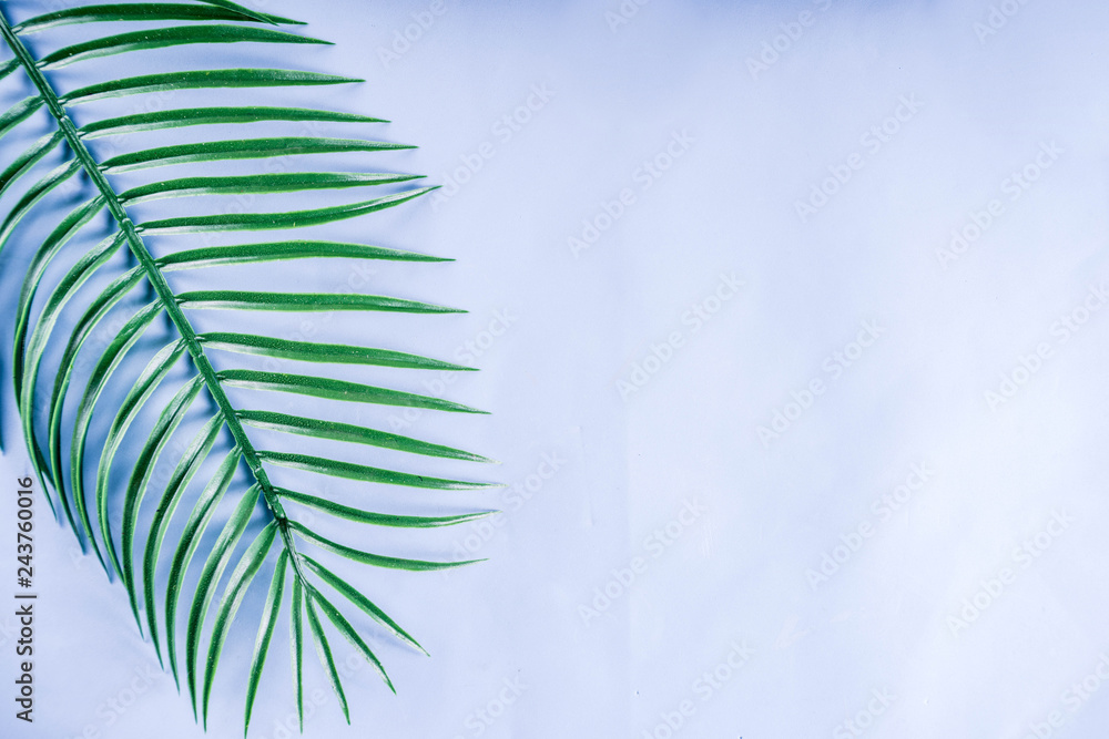 Fototapeta premium Tropical background. Palm and monstera leaves on yellow blue background. Flatlay, top view, minimal layout, summer concept