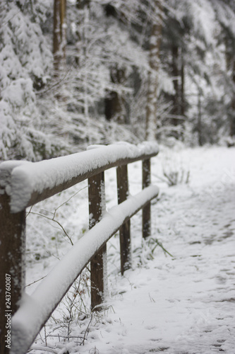 Wallpaper Mural Neve  Torontodigital.ca