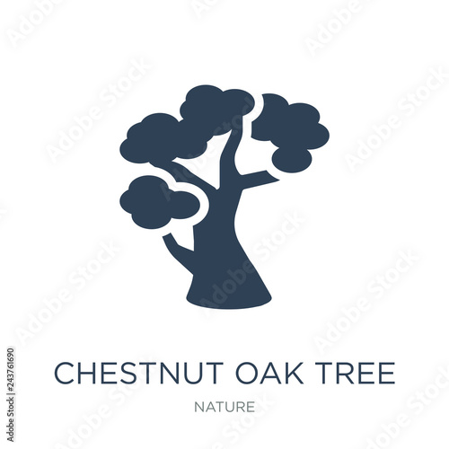 chestnut oak tree icon vector on white background, chestnut oak