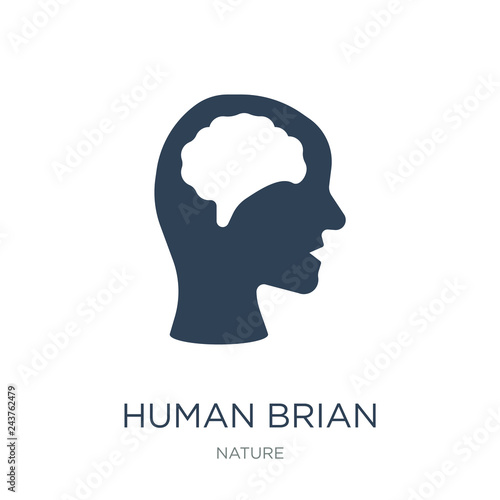 Photos human brian icon vector on white background, human brian trendy