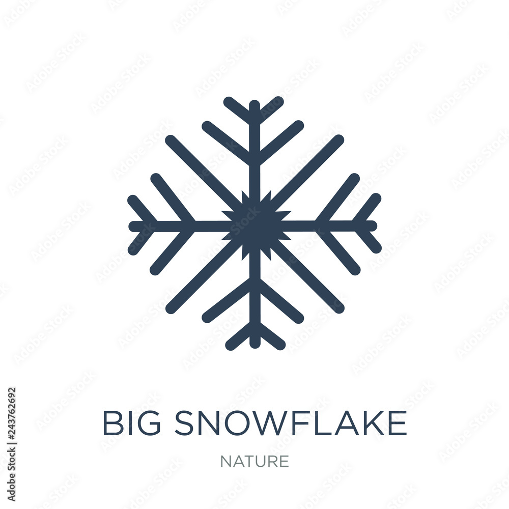 big snowflake icon vector on white background, big snowflake tre big snowflake icon vector on white background, big snowflake tre