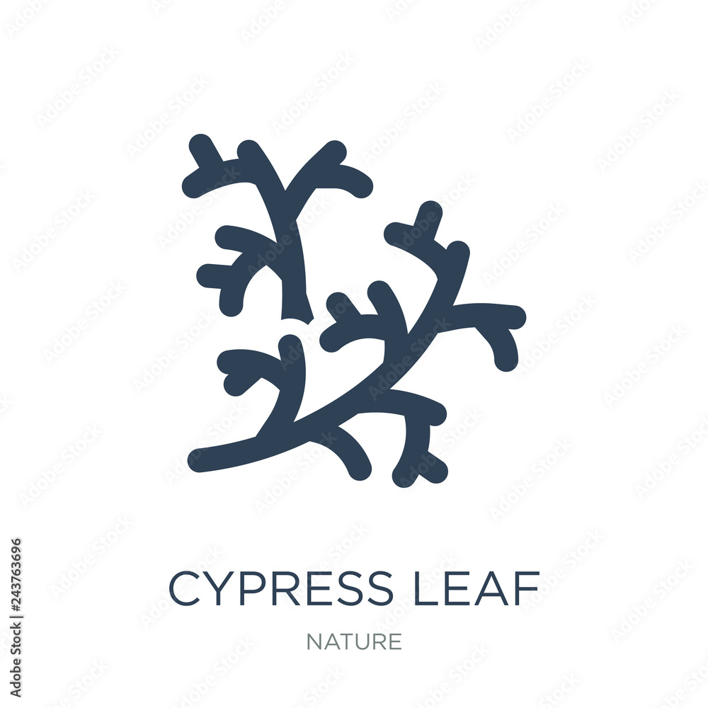 cypress leaf icon vector on white background, cypress leaf trend cypress leaf icon vector on white background, cypress leaf trend