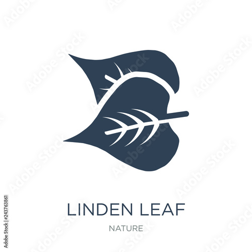 linden leaf icon vector on white background, linden leaf trendy