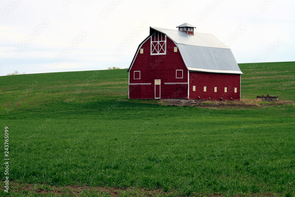 A Red Barn in the wheat field of the Palouse, Washington State, USA