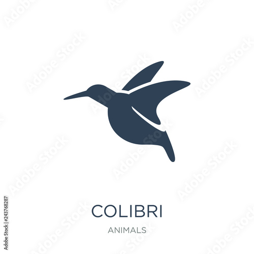 colibri icon vector on white background, colibri trendy filled i