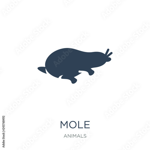 mole icon vector on white background, mole trendy filled icons f